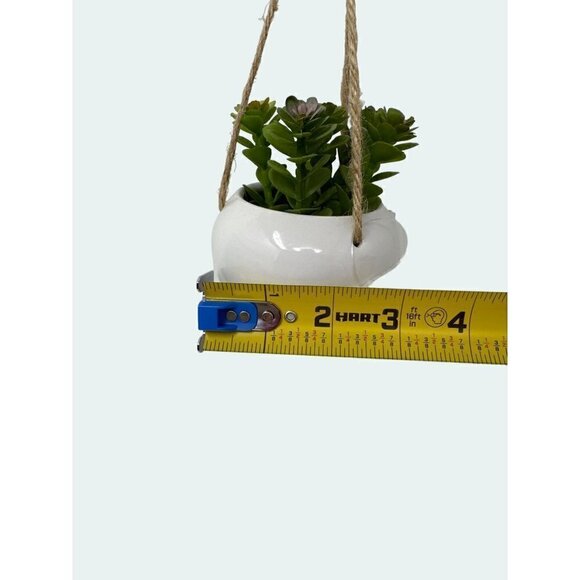 Plant Artificial Hanging Miniature Succulent Plant Faux Fake Ceramic Green White - Picture 5 of 6